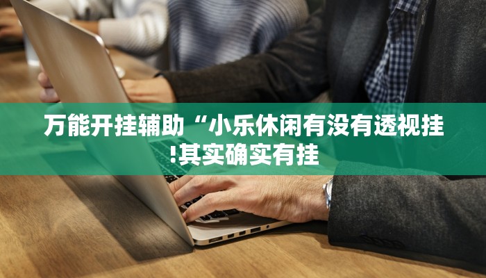 万能开挂辅助“小乐休闲有没有透视挂!其实确实有挂