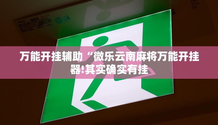 万能开挂辅助“微乐云南麻将万能开挂器!其实确实有挂