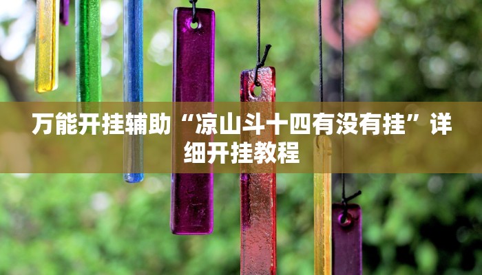 万能开挂辅助“凉山斗十四有没有挂”详细开挂教程