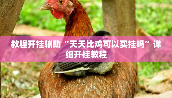 教程开挂辅助“天天比鸡可以买挂吗”详细开挂教程