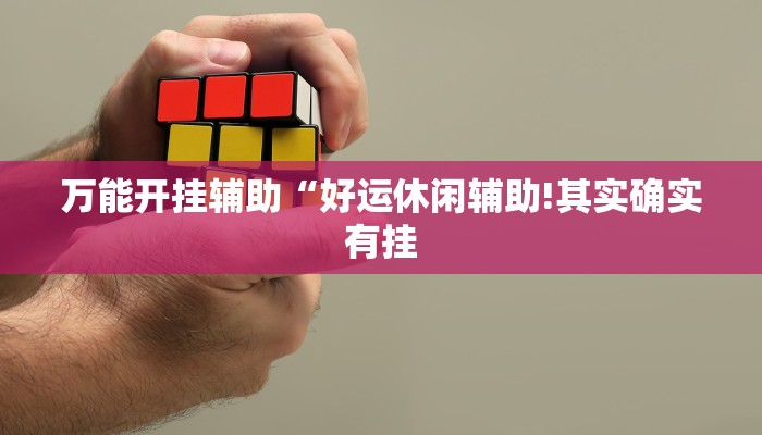 万能开挂辅助“好运休闲辅助!其实确实有挂
