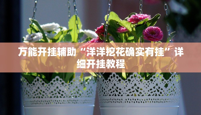 万能开挂辅助“洋洋挖花确实有挂”详细开挂教程
