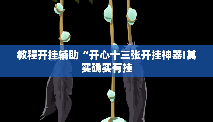 教程开挂辅助“开心十三张开挂神器!其实确实有挂