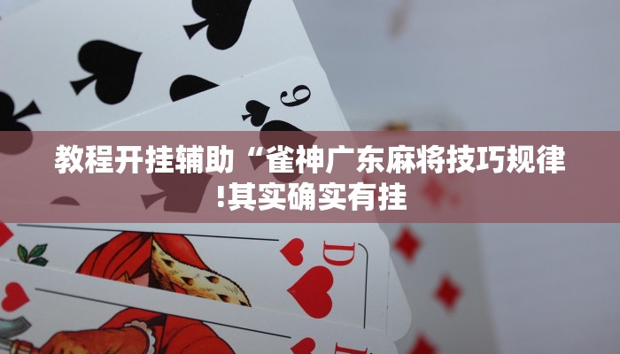 教程开挂辅助“雀神广东麻将技巧规律!其实确实有挂