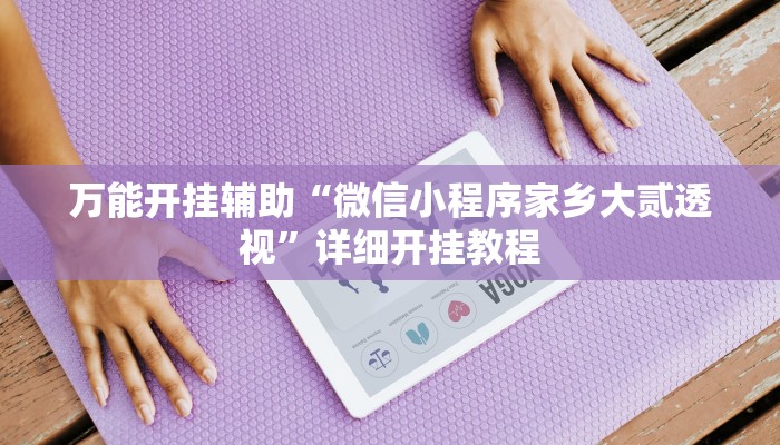 万能开挂辅助“微信小程序家乡大贰透视”详细开挂教程